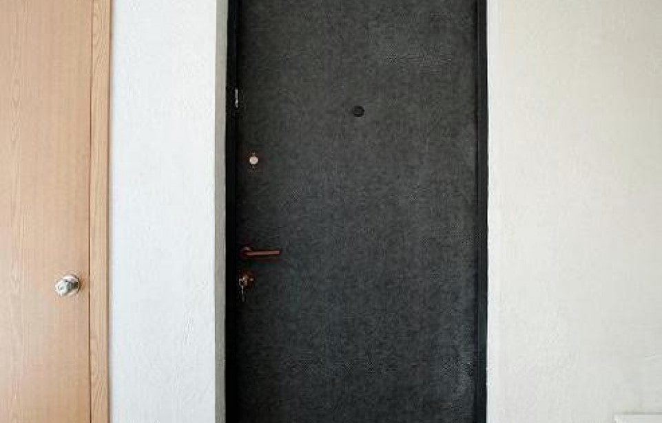 krasnopresnenskaya12